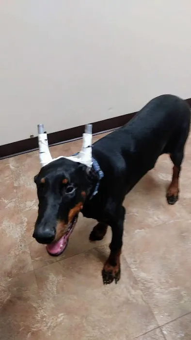 Waterloo Animal Hospital 12