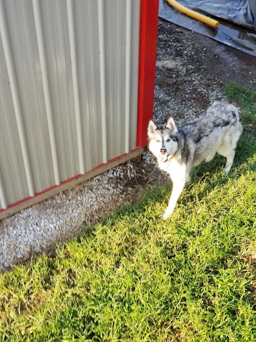 Waterloo Animal Hospital 12