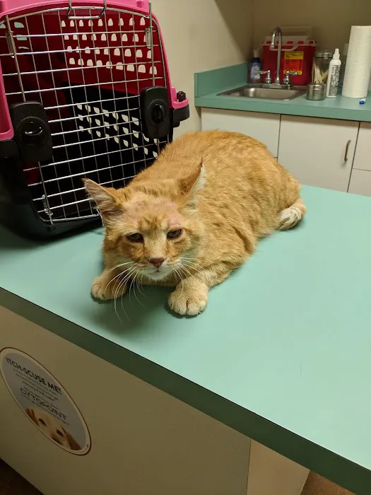 Waterloo Animal Hospital 12