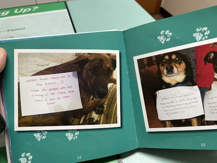 Waterloo Animal Hospital 12