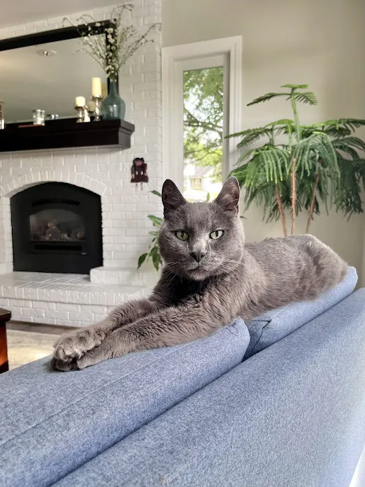 Waterloo Animal Hospital 12