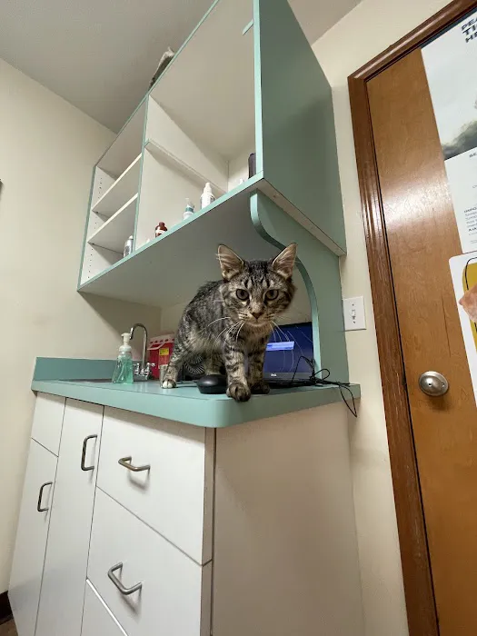 Waterloo Animal Hospital 12