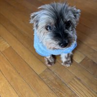 Hoof & Paw Animal Clinic ico