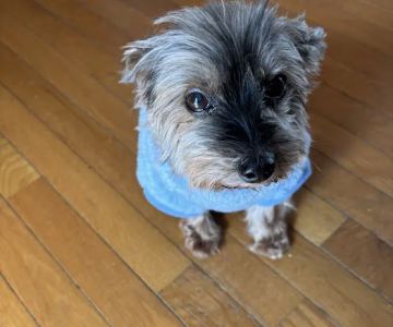 Hoof & Paw Animal Clinic