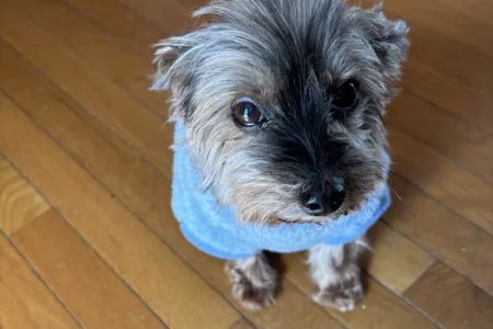 Hoof & Paw Animal Clinic