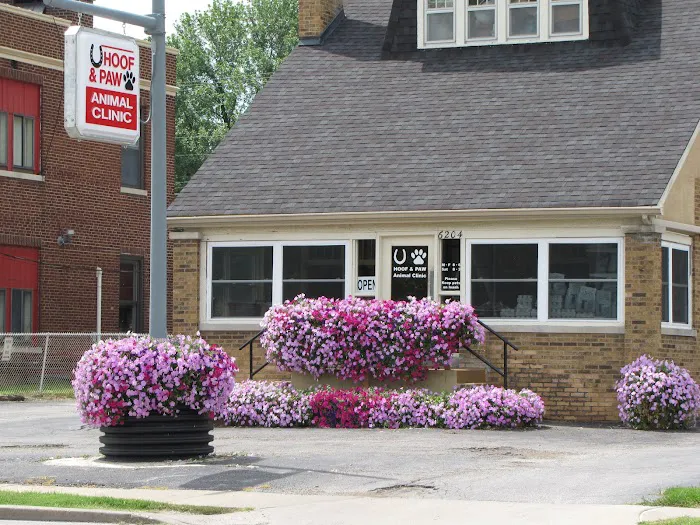 Hoof & Paw Animal Clinic 12
