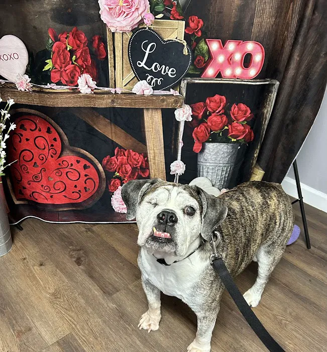 MetroEast Home Vet Care 12