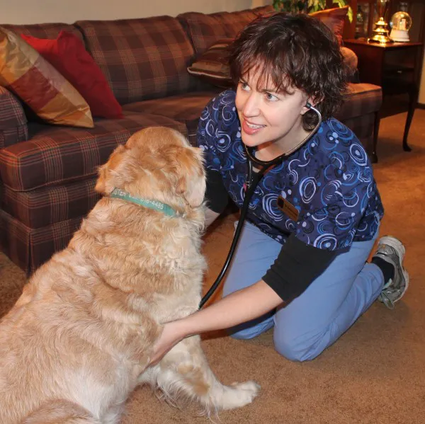 MetroEast Home Vet Care 12