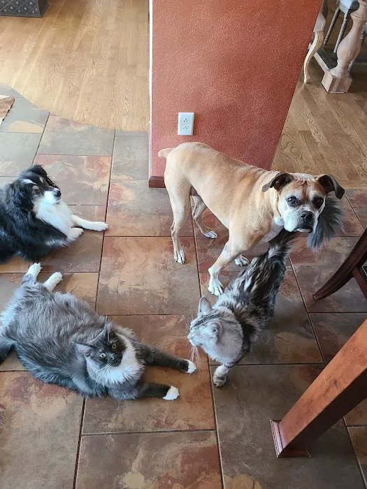 MetroEast Home Vet Care 12