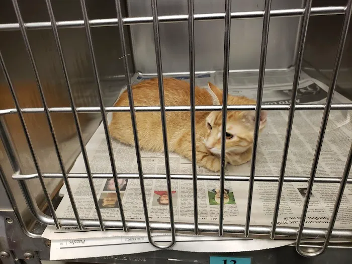 Belleville Animal Clinic 12