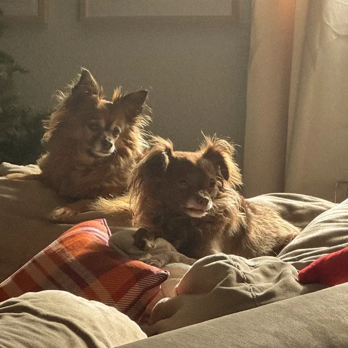 Best Friends Animal Hospital & Pet Resources 12