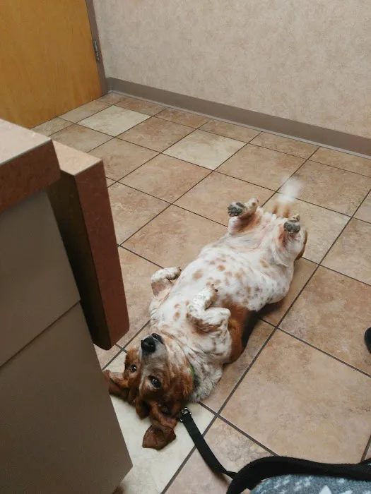 Best Friends Animal Hospital & Pet Resources 12