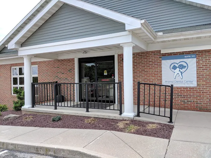 Animal Dental Center 12