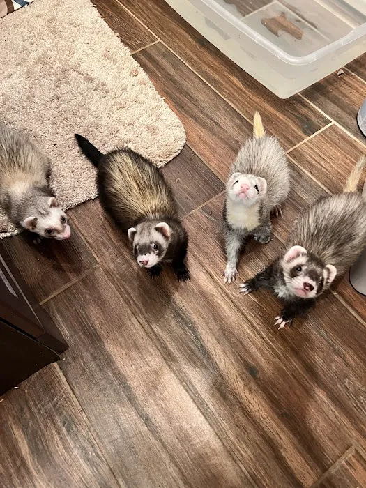 Ani-Care Animal Hospital 12