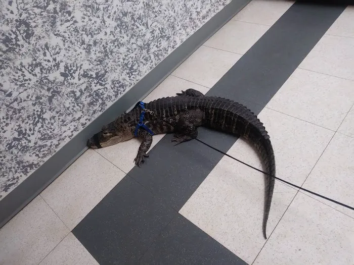 Ani-Care Animal Hospital 12