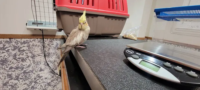 Ani-Care Animal Hospital 12