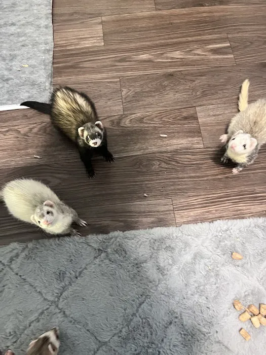 Ani-Care Animal Hospital 12