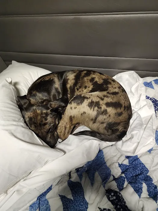 Stony Run Veterinary Center 12