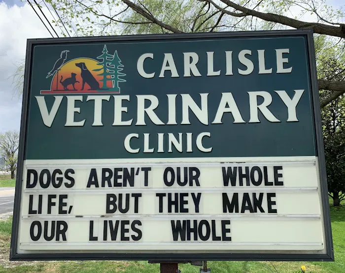 Carlisle Small Animal Veterinary Clinic 12
