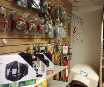 Pet Zone