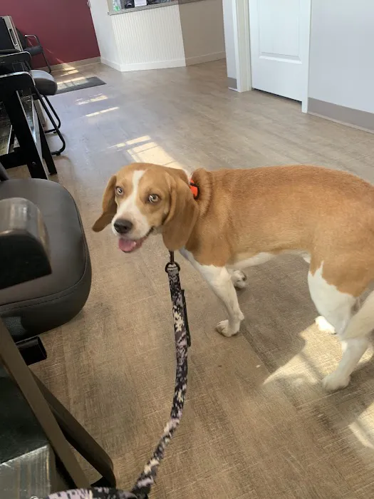 Wags to Whiskers Veterinary Clinic 12