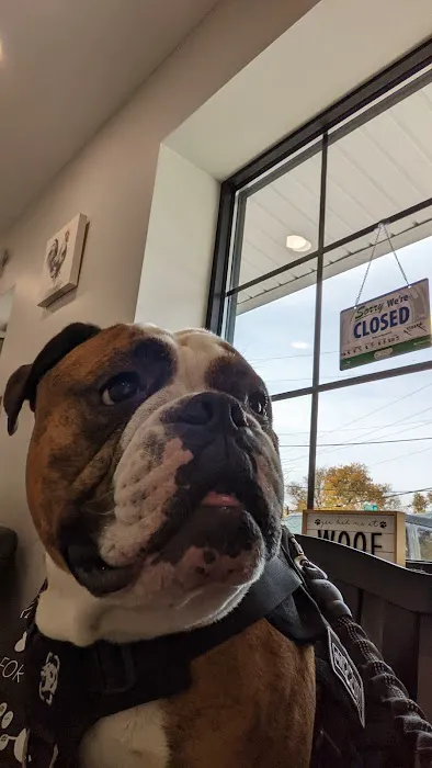 Wags to Whiskers Veterinary Clinic 12