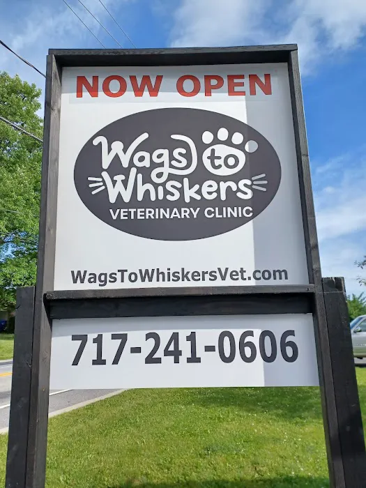 Wags to Whiskers Veterinary Clinic 12