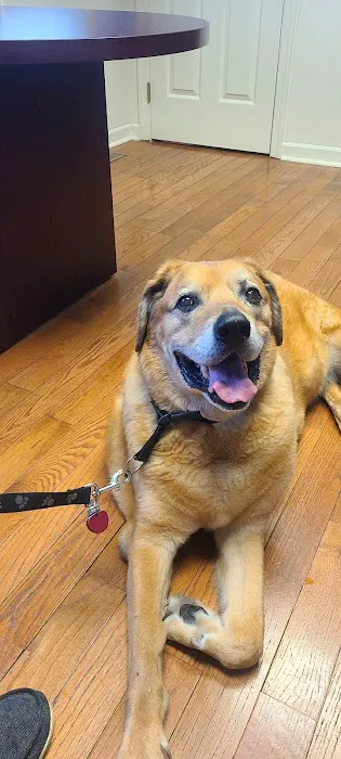 New Oxford Veterinary Clinic 3