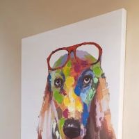 New Oxford Veterinary Clinic ico