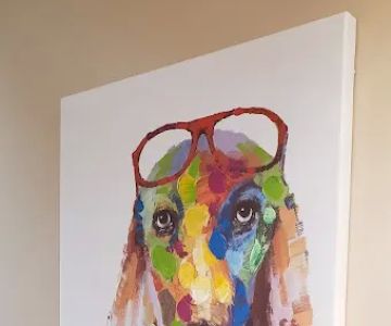 New Oxford Veterinary Clinic