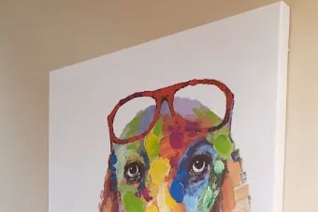 New Oxford Veterinary Clinic