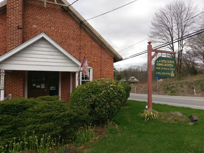 Little School Animal Hospital 12