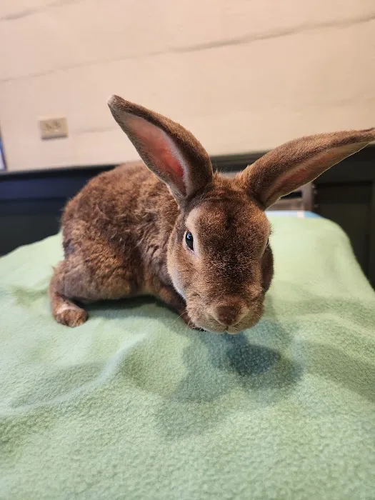 Clearview Animal Hospital 7