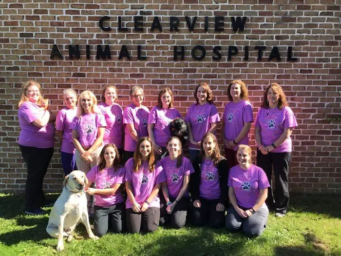 Clearview Animal Hospital 8