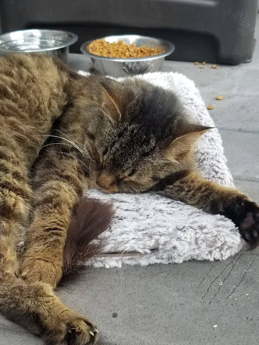 Clearview Animal Hospital 6