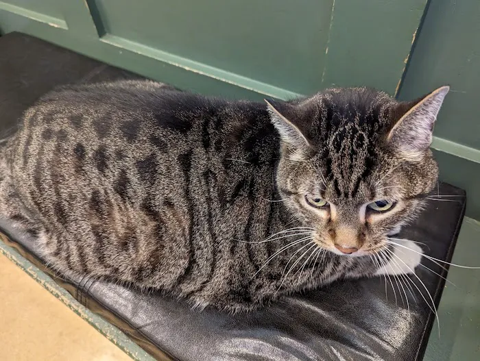 Clearview Animal Hospital 1