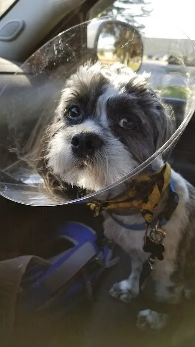Clearview Animal Hospital 4