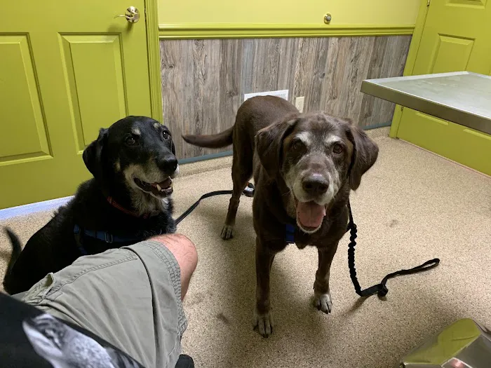 Allen Road Veterinary Clinic 12
