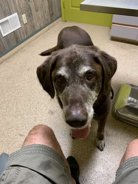Allen Road Veterinary Clinic 12