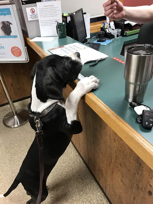 Allen Road Veterinary Clinic 12