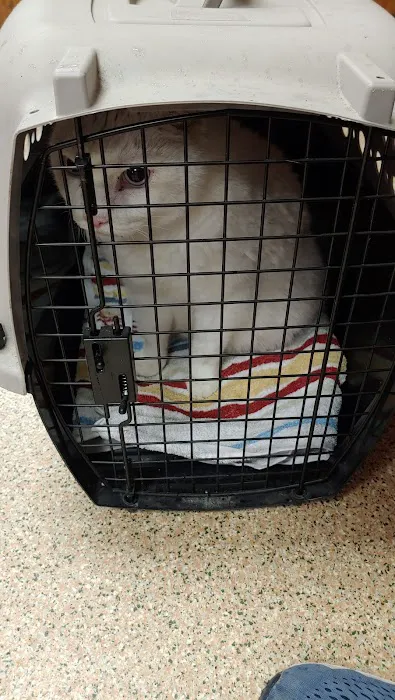 Allen Road Veterinary Clinic 12