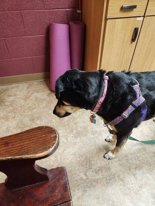 Pine Creek Animal Hospital in Lancaster 12