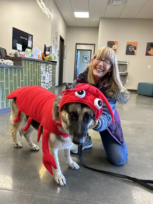 Pine Creek Animal Hospital in Lancaster 12