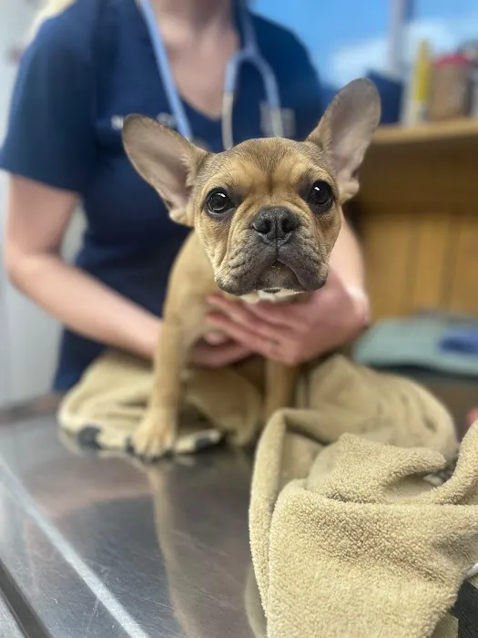 Pine Creek Animal Hospital in Lancaster 12