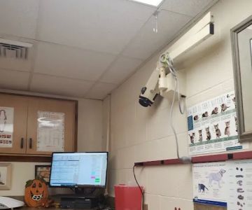 Pine Creek Animal Hospital in Lancaster