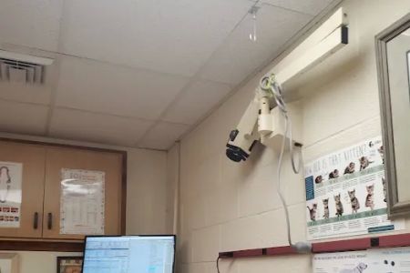 Pine Creek Animal Hospital in Lancaster