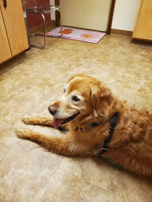 Pine Creek Animal Hospital in Lancaster 12