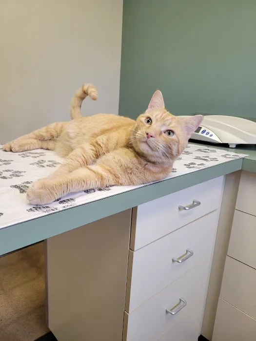 West Lancaster Animal Hospital 12