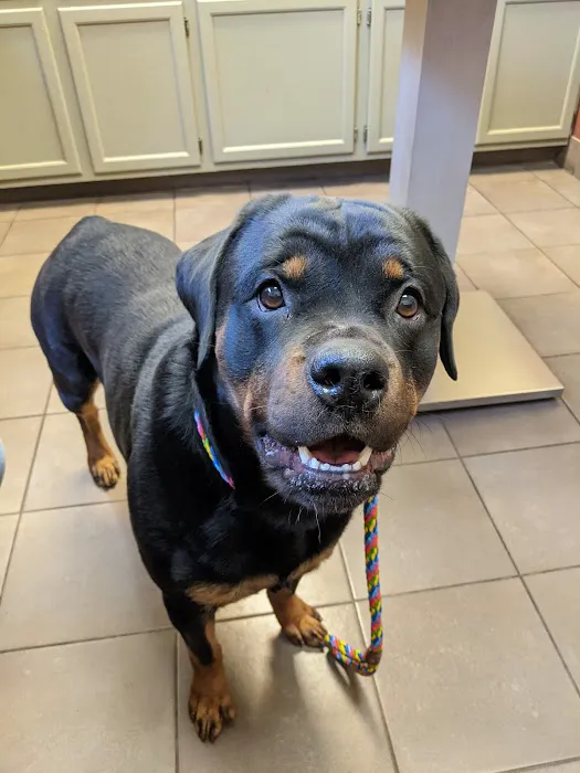 Harrisburg Pike Animal Hospital 12
