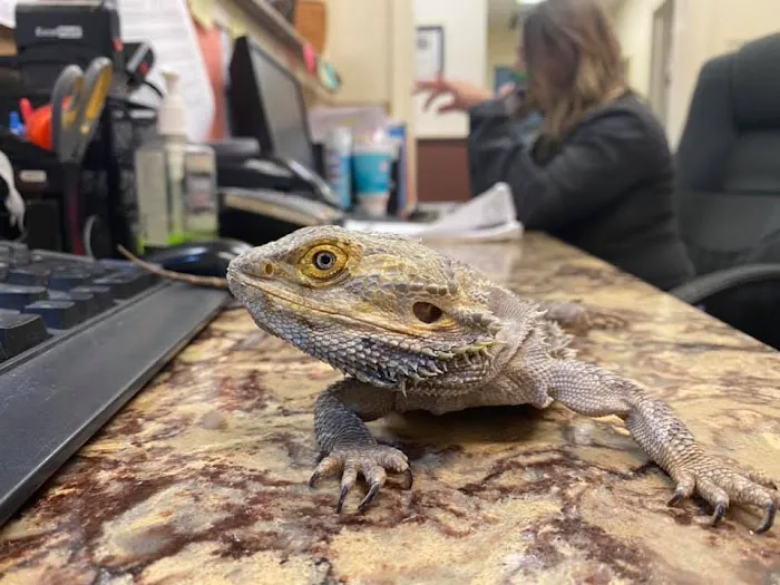 Harrisburg Pike Animal Hospital 12